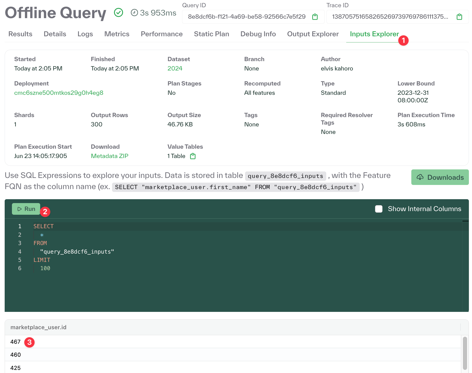 Inputs explorer for offline queries